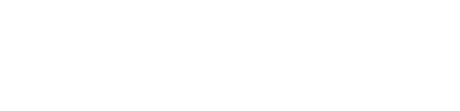 Pro Wireless Solutions